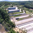 알멕스리조트 이미지