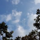 정평 행정사 사무소 이미지