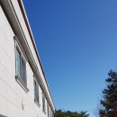 사파리모텔 이미지