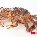 명성마트 이미지