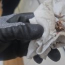 탑동경로당 이미지