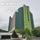 [용인 숙소] 양지파인리조트 스탠다드타입 이용 후기