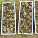 밭두렁농원 이미지