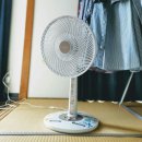 로운짐 (RO:UN GYM) | 더울 때 건강을 유지하는 데 도움이 되는 습관! 기장피티 일광피티 로운짐