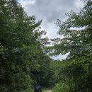 경기둘레길 양평29코스 이미지