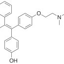 H9716 이미지