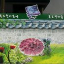 천마수산