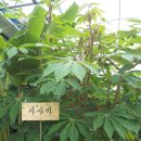 병만농장 이미지