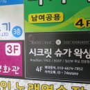 민스파라다이스