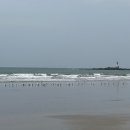 서화수산 이미지