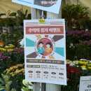 정다운어린이집 | 평택 가볼만한 곳 2025 경기정원문화박람회 볼거리 -1일차(in 농업생태원)