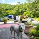 아차산로405번길 이미지