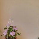 봉오리농장 이미지