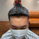 TURTLECOMB(터틀콤)