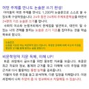 이슈토론논술