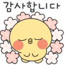 김지선태양김밥 이미지