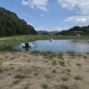 우지낚시터 이미지