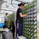 재식농장 이미지