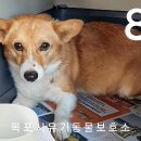 조약국 이미지