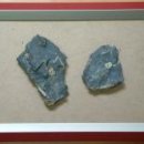 창조자연사박물관 이미지