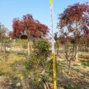 목천농장 이미지