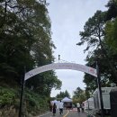 구름위의 산책 | 2024 워커힐 와인 페어 : 구름 위의 산책 후기