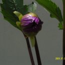 대자연농원 이미지