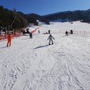 한빛합기도 이미지