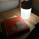 내돈내산 베베코알라 솔직후기 | 5번 넘게 돌려본 유아전집!