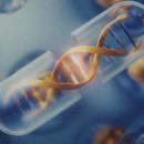 주식회사파마바이오코리아 | 500% 폭등한 현대ADM, '제2의 알테오젠(바이오 대장주)' 꿈꾸나? (페니트리움 사명 변경 및 투자 유의점)