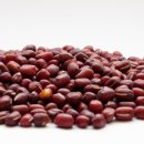 청담피트니스 이미지