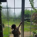 소로3-대동03 | 김해 대동 카페 파우제앤숨 식물원카페 모래놀이 할 수 있는 곳