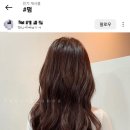 에스제이헤어(SJ&헤어)