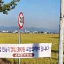 춘포면-13 이미지