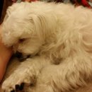 명선회식당 이미지