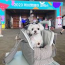 2023 케이펫페어 코엑스 첫날 방문 관람후기 및 부스배치도 첨부