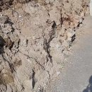 식생블럭,기초 레미콘 타설, 포항,경주 이미지