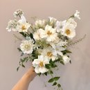 [스드메]의 견적단속 + 르웨딩 신혜진 플래너