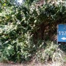 행신나루공원 이미지