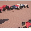 참아름 유치원 Daum카페