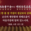 문화41 이미지