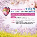 •2018 강서 낙동강변30리 벚꽃 축제~^^ 이미지