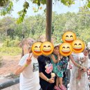 (주)하율투어 | 푸꾸옥 사파리 후기, 5살 아이·2살 아기 데리고 빈펄 사파리 다녀온 현실 후기