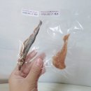 펫딩 네이버블로그