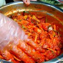 홍어맛 이미지