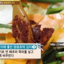 땅콩호박 파는곳 천기누설 땅콩호박 김치 담그는법 효능