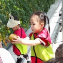 월포농장 이미지