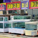태공수산 이미지