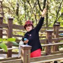 하늘산장 이미지