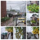 상미로 이미지